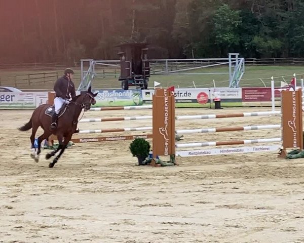 Video di Danica 31