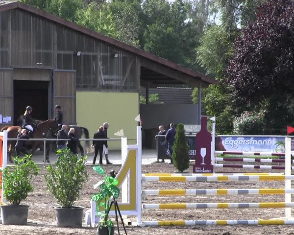 Reitturnier Lentzke - Reitanlage Krehl 2022