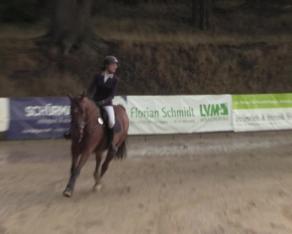 Reitturnier Albersloh 2022