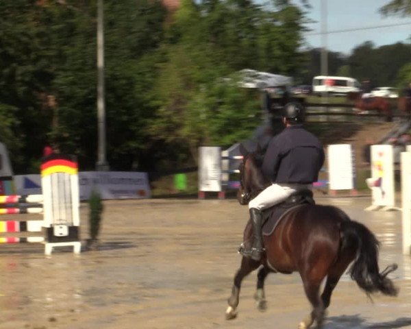 Reitturnier Buchenhof-Ibbenbüren 2022