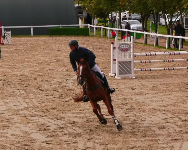 Reitturnier Bad Schmiedeberg 2022