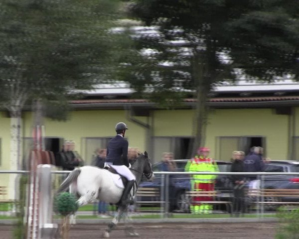 Reitturnier Lentzke - Reitanlage Krehl 2022