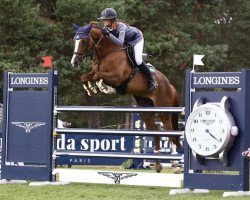 jumper Exellent View (Bulgarian Warmblood, 2007)