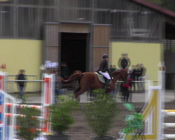 Reitturnier Lentzke - Reitanlage Krehl 2022