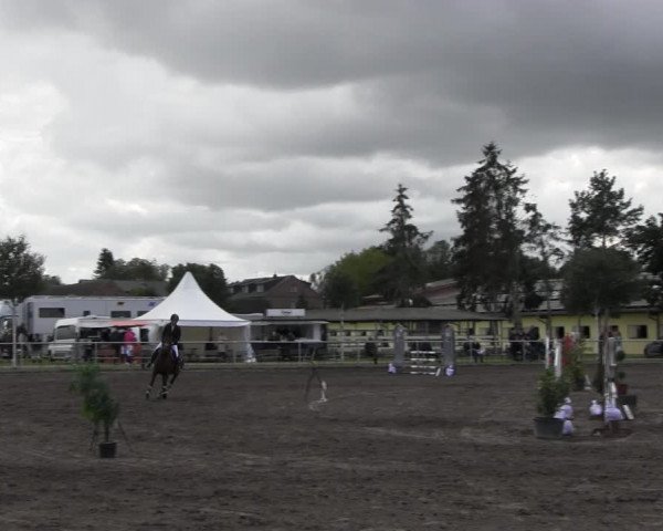 Reitturnier Lentzke - Reitanlage Krehl 2022