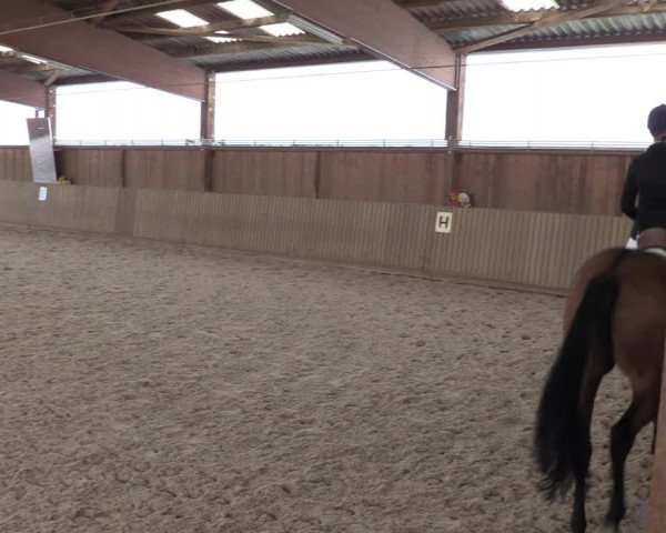 Reitturnier Bad Schmiedeberg 2022