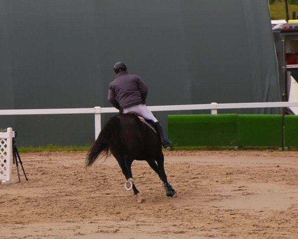 Reitturnier Bad Schmiedeberg 2022