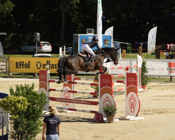 jumper Castellino 5 (Rhinelander, 2008, from Castellini)