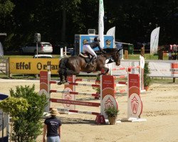 jumper Castellino 5 (Rhinelander, 2008, from Castellini)