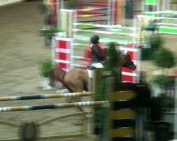 jumper Crocodile Dundee (Nederlands Rijpaarden en Pony, 2001)