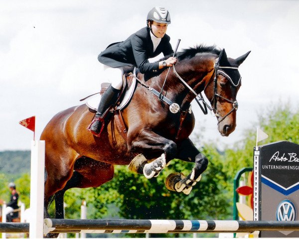 jumper Aldonja (KWPN (Royal Dutch Sporthorse), 2005, from Namelus R) jumper Aldonja (KWPN (Royal Dutch Sporthorse), 2005, from Namelus R)