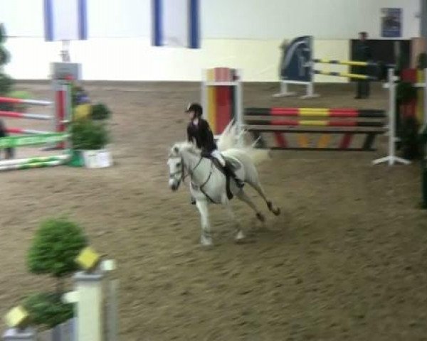 broodmare Nora (German Riding Pony, 1993, from Nibelungenheld)