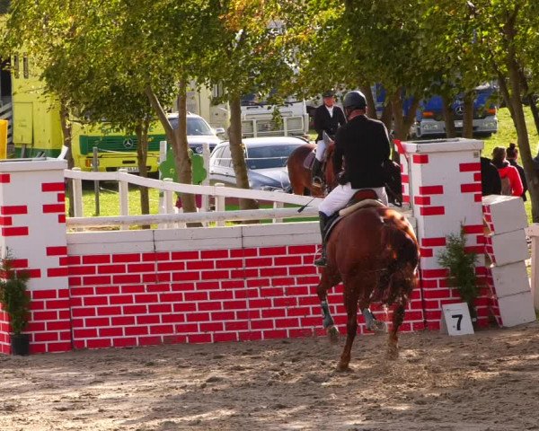 Reitturnier Bad Schmiedeberg 2022