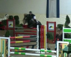 jumper Galina 216 (German Riding Pony, 2005, from Begas)