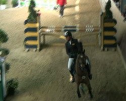 broodmare Camira 31 (unknown, 2000)