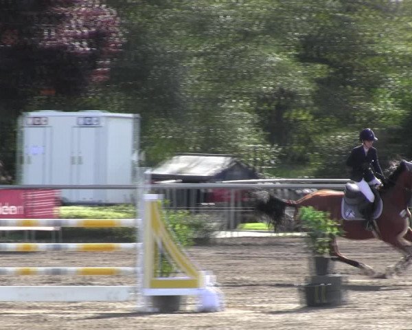Reitturnier Lentzke - Reitanlage Krehl 2022