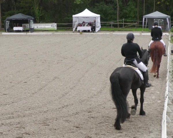 Reitturnier Ditzingen 2022