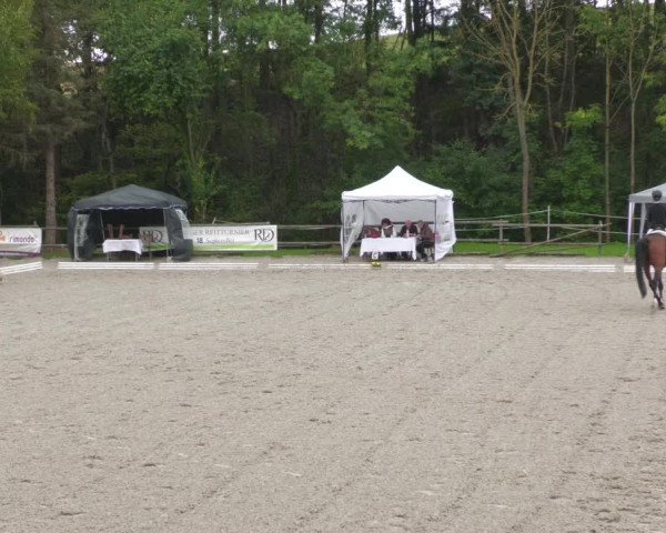 Reitturnier Ditzingen 2022