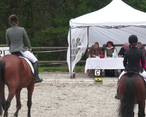 Reitturnier Ditzingen 2022
