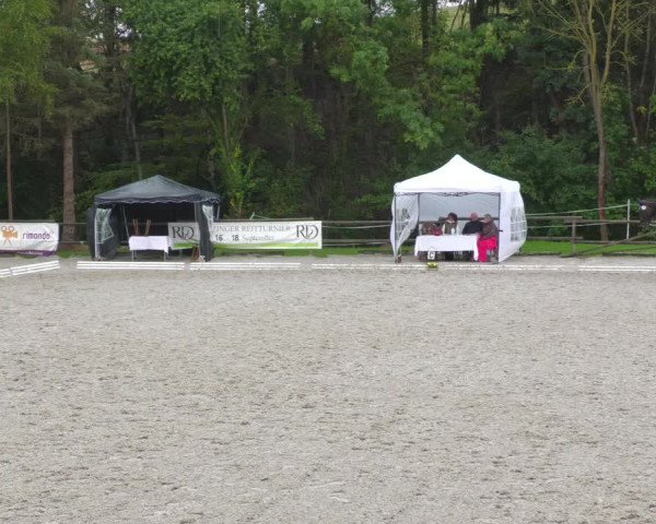 Reitturnier Ditzingen 2022