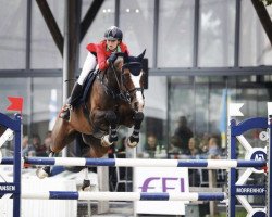 broodmare Candida 34 (Holsteiner, 2010, from Ab 19 Chepetto)