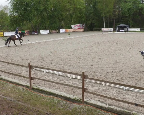 Reitturnier Ditzingen 2022