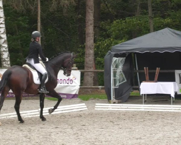 Reitturnier Ditzingen 2022