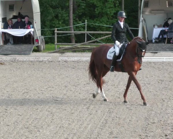 Reitturnier Ditzingen 2022
