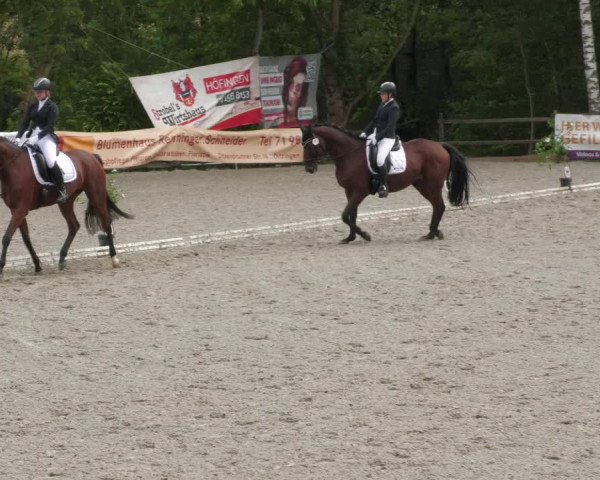 Reitturnier Ditzingen 2022