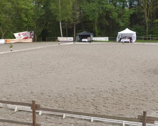 Reitturnier Ditzingen 2022