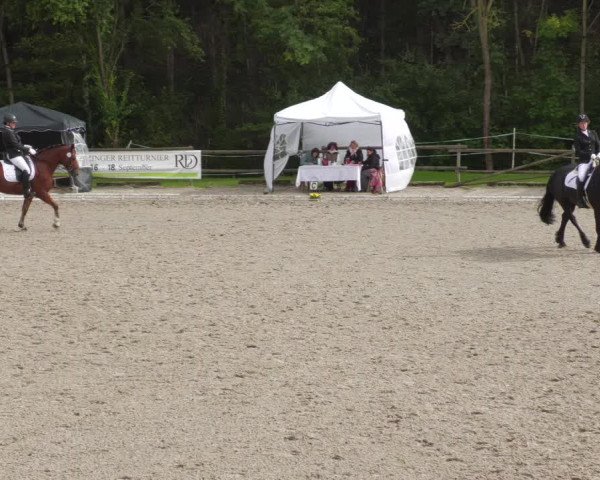 Reitturnier Ditzingen 2022