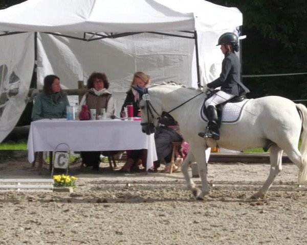 Reitturnier Ditzingen 2022