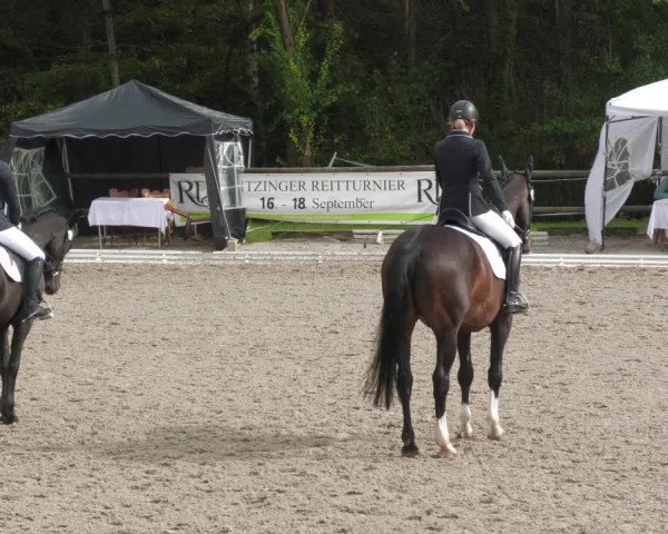 Reitturnier Ditzingen 2022