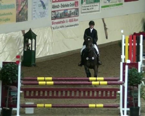 jumper Lavinia (Sachse, 2000, from Chromolux)