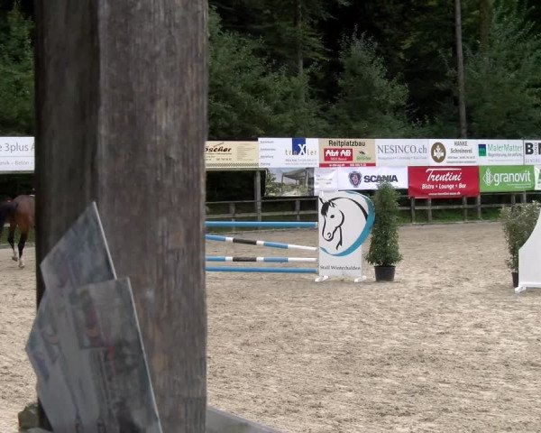 Reitturnier Sins 2022 | Herbst-Concourse Sins-Brand