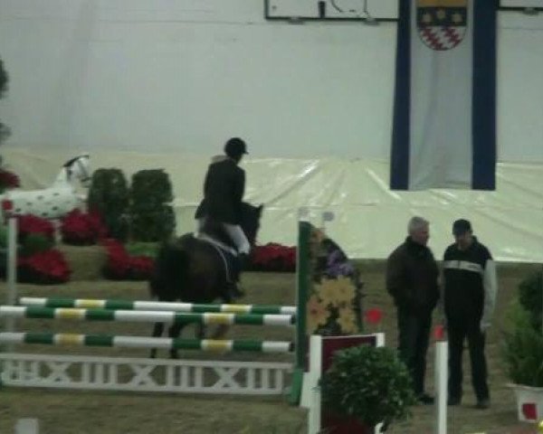 jumper Daria 32 (Rhinelander, 1995, from Dressman)