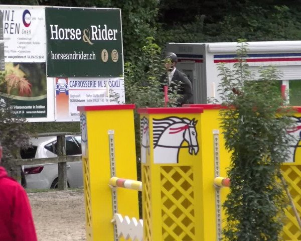 Reitturnier Sins 2022 | Herbst-Concourse Sins-Brand