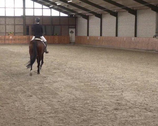 Reitturnier Würselen - Reitanlage Rueben 2022