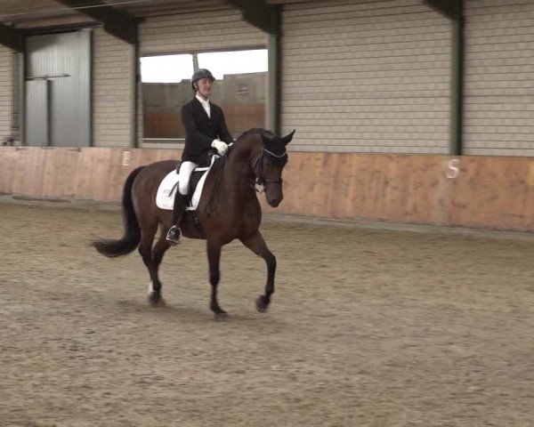 Reitturnier Würselen - Reitanlage Rueben 2022