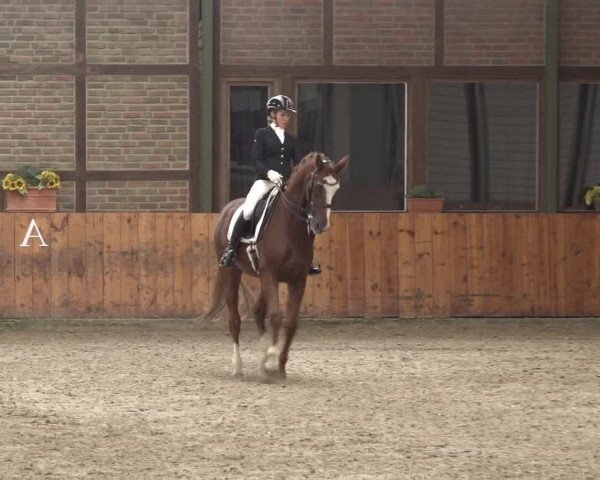 Reitturnier Würselen - Reitanlage Rueben 2022