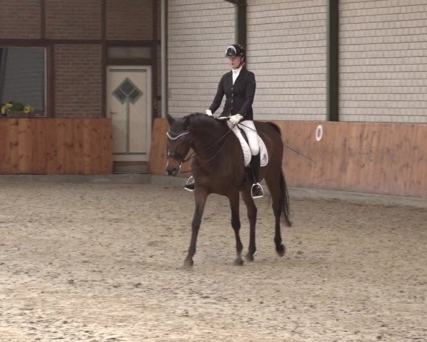 Reitturnier Würselen - Reitanlage Rueben 2022