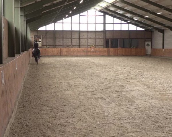 Reitturnier Würselen - Reitanlage Rueben 2022
