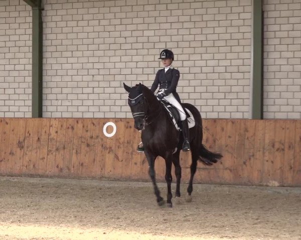 Reitturnier Würselen - Reitanlage Rueben 2022