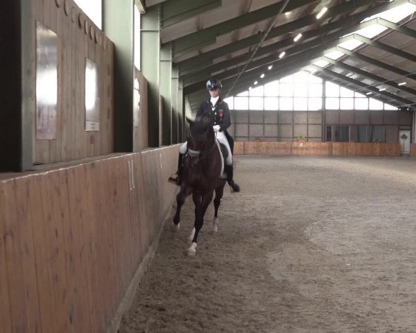 Reitturnier Würselen - Reitanlage Rueben 2022
