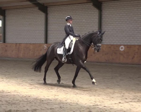 Reitturnier Würselen - Reitanlage Rueben 2022