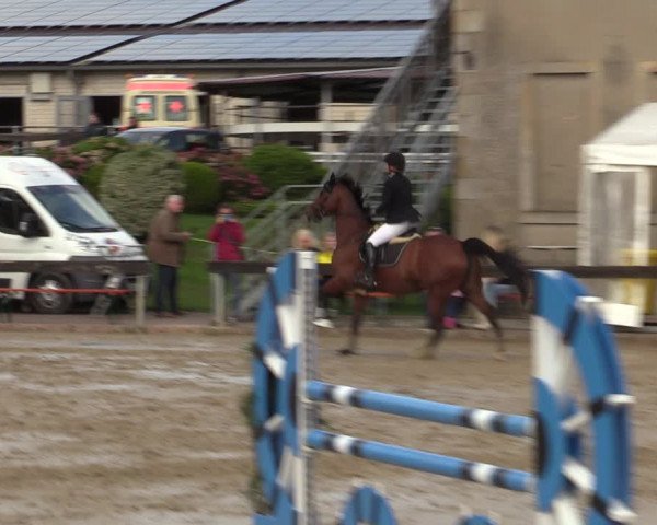 Reitturnier Buchenhof-Ibbenbüren 2022