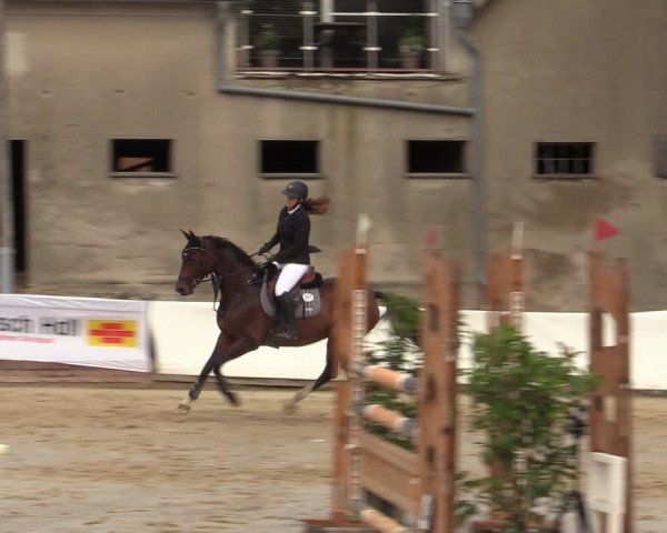 Reitturnier Buchenhof-Ibbenbüren 2022