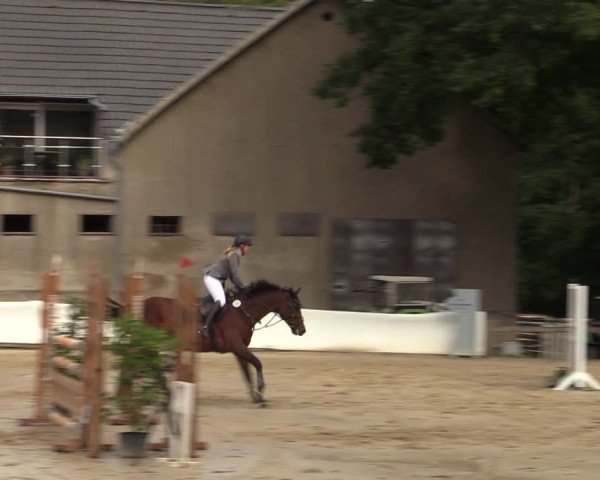 Reitturnier Buchenhof-Ibbenbüren 2022