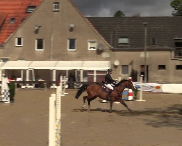 Reitturnier Buchenhof-Ibbenbüren 2022