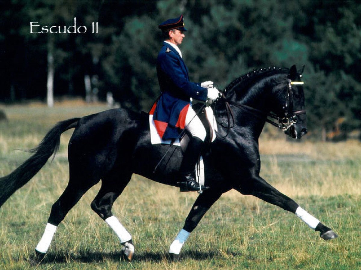 556c8d83-05eb-4726-a1fa-